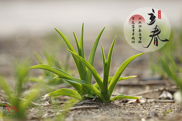 燕大·二十四节气