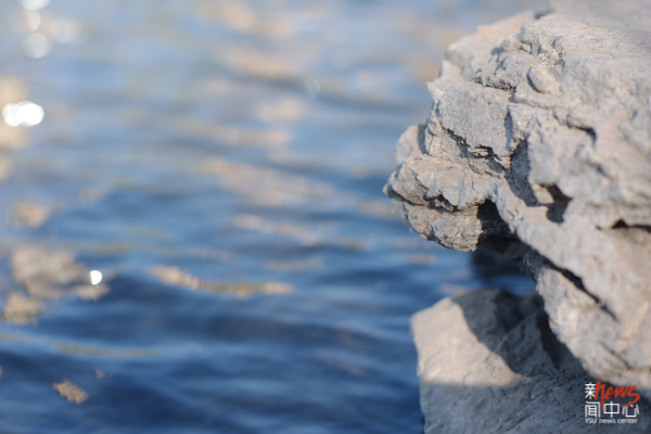 我把家乡的春天送给母校@燕山大学（组图）