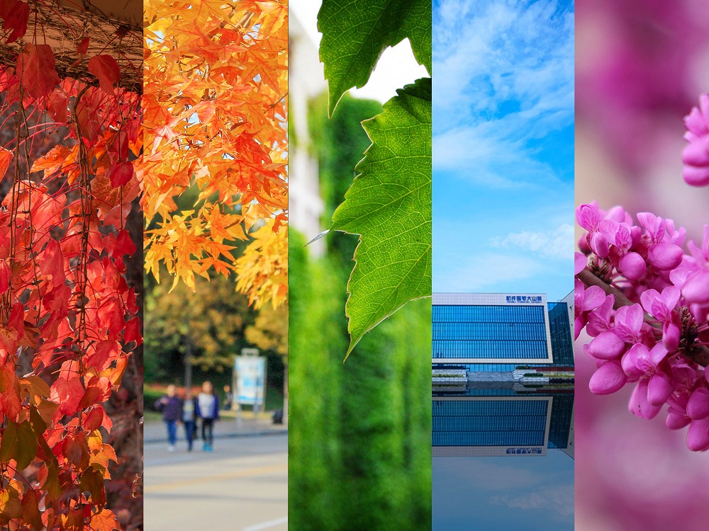 色彩纷呈，快来解锁彩虹色燕大！