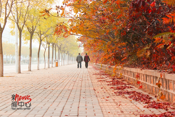 印象燕大 • 最美不过夕阳红（组图） 