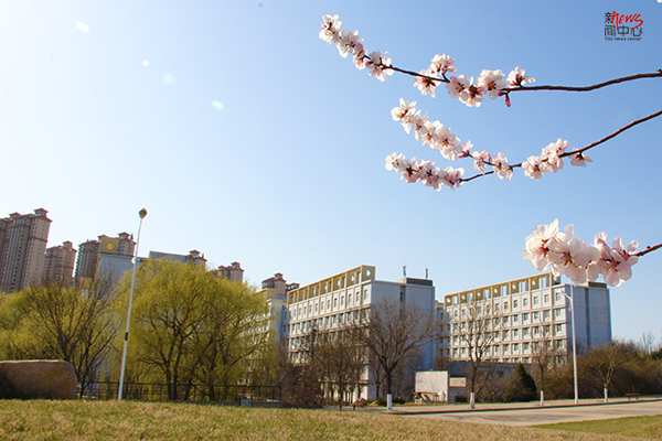 我想把四月的燕园 刻画在你心间（组图）